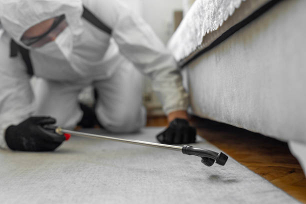 Professional Termite Control technician working in Liberal, KS