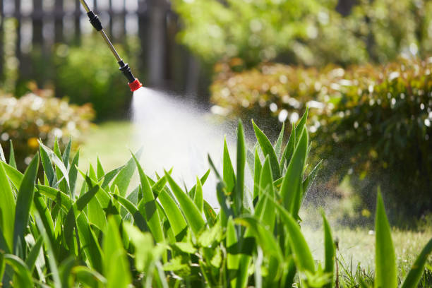 24/7 Emergency Termite Control experts in Liberal, KS